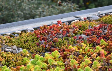 the cost of Maenclochog green roof installation