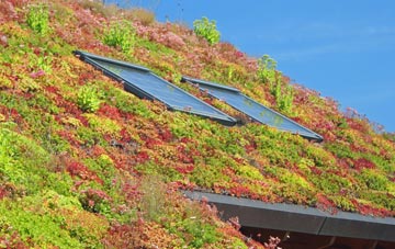 Maenclochog living roof systems