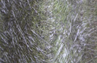 Maenclochog fibreglass roof work